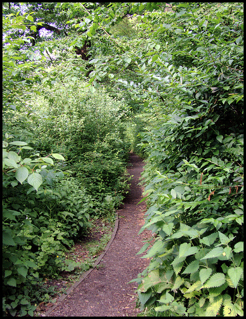 Einsamer Schleichweg / Lonesomely secret-path