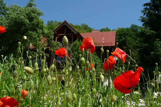 Haus mit Mohn