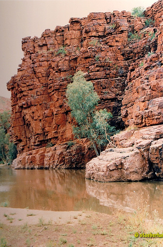 Trephina Gorge