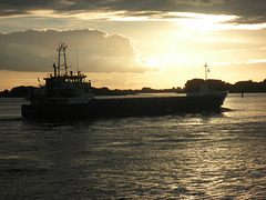 Kümo   RMS  BREMEN auf der abendlichen Elbe