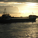 Kümo   RMS  BREMEN auf der abendlichen Elbe