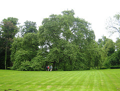 Château d'Aulnoy - Champeaux (77)