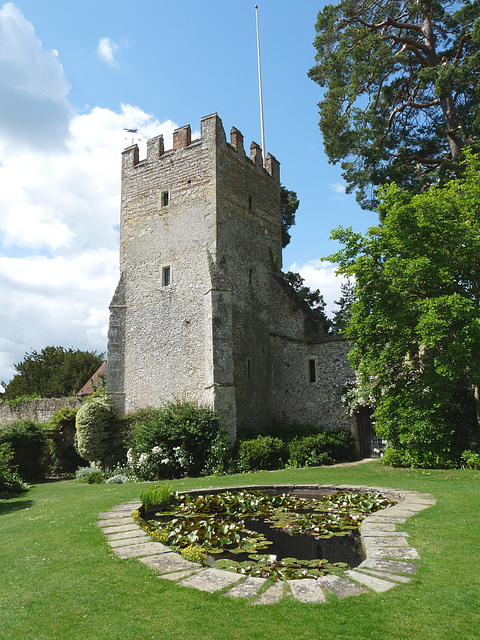 Greys Court- Pond and Great Tower