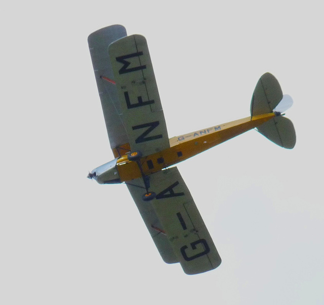 de Havilland DH.82A Tiger Moth G-ANFM