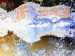 Apartments building and rowboat by the river /  Édifice à appartements avec chaloupe et canards -  Ängelholm / Suède.  23 octobre 2008- Effet de négatif + couleurs ravivées.