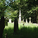 Amongst the Graves