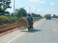 Basket case