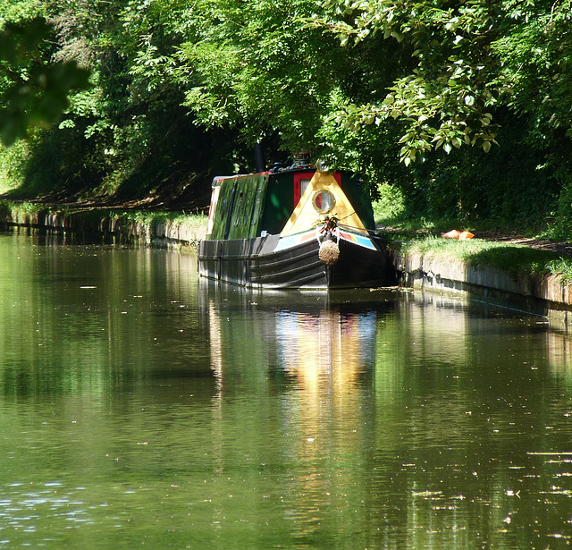 Green Reflections