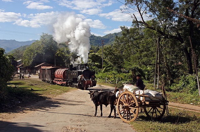 Bullock cart at the crossing