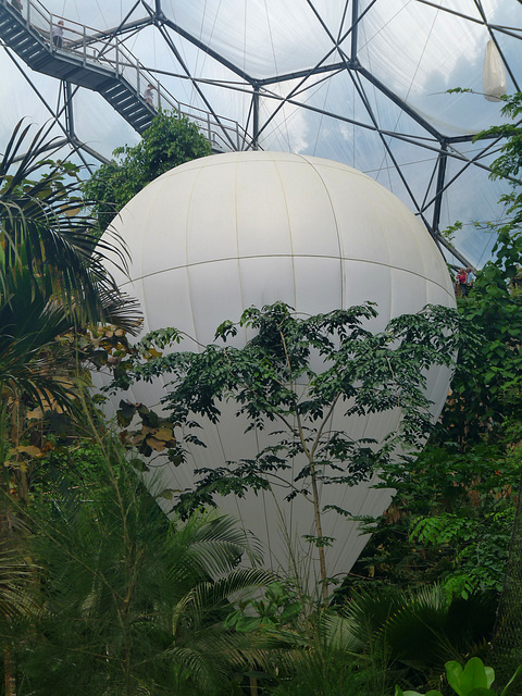 Helium Balloon in the Biome