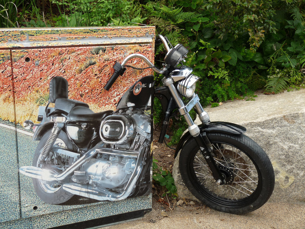 Motorcycle Artiness