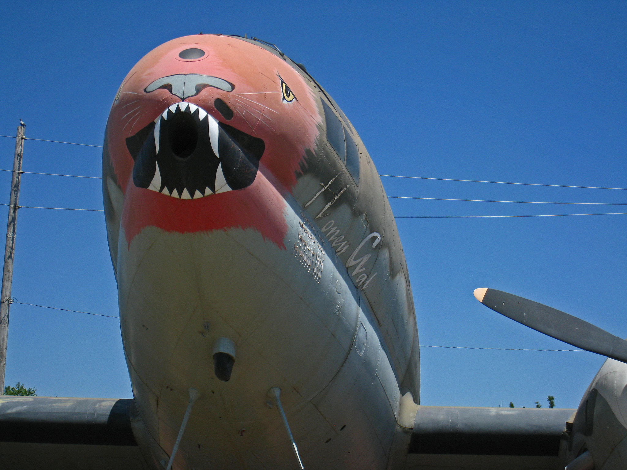 Curtiss C-46D Commando (3037)