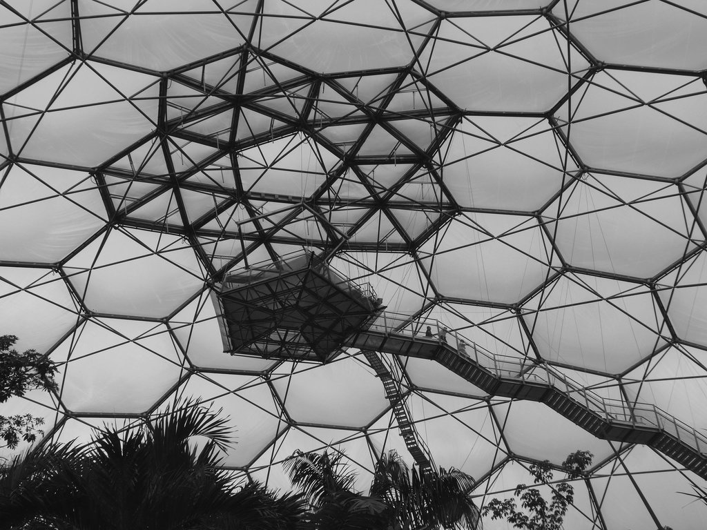 Viewing Platform Inside the Rain Forest Biome