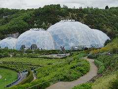 Mediterranean Biome