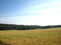 Vallée de l'Ancoeuil