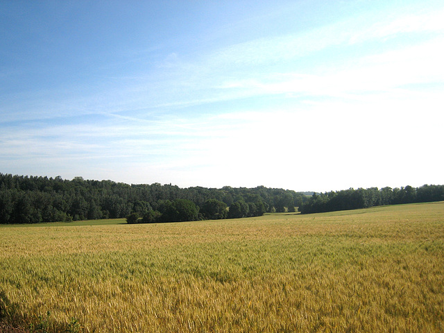 Vallée de l'Ancoeuil