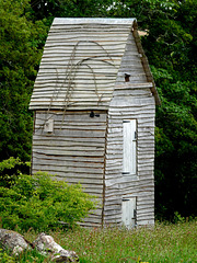 Owls' Nesting Place