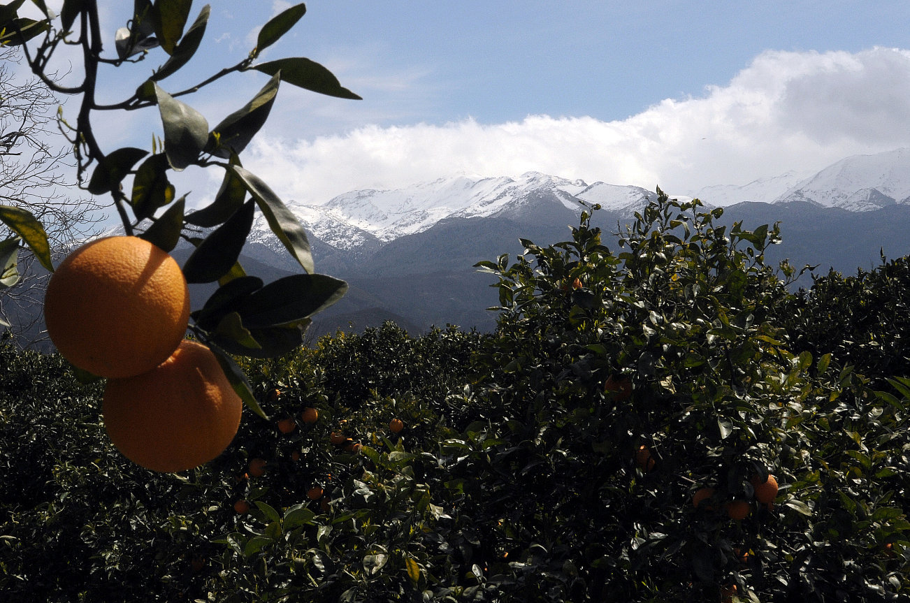 Orangen und Schneeberge
