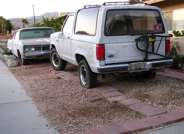 Cars on West Drive (0446)