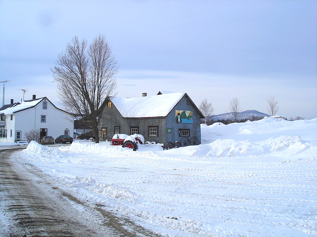 Twin maples farm - St-Benoit-du-lac-  Québec- Canada - 7 février 2009