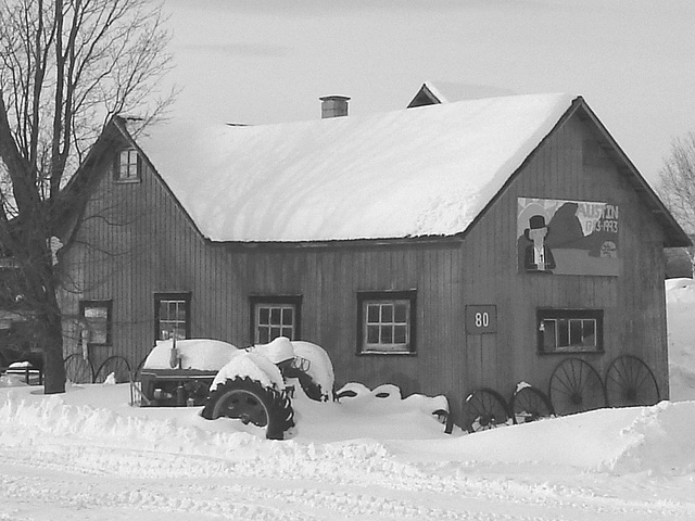 Twin maples farm - St-Benoit-du-lac-  Québec- Canada - 7 février 2009- B & W