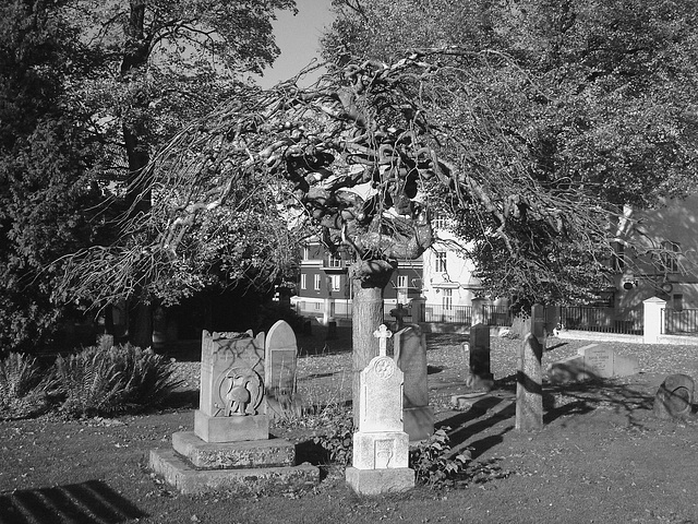 Cimetière et église / Cemetery & church - Ängelholm.  Suède / Sweden.  23 octobre 2008- B & W