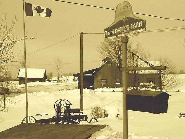 Twin maples farm - St-Benoit-du-lac-  Québec- Canada - 7 février 2009-  Sepia