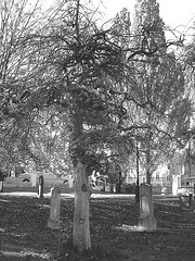 Cimetière et église / Cemetery & church - Ängelholm.  Suède / Sweden.  23 octobre 2008- B & W