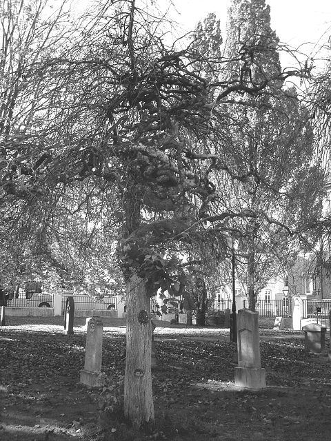 Cimetière et église / Cemetery & church - Ängelholm.  Suède / Sweden.  23 octobre 2008- B & W