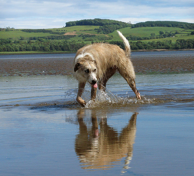 Paddling