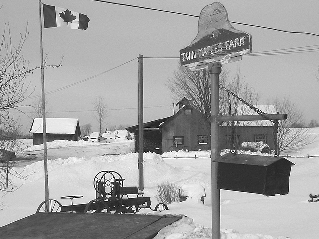 Twin maples farm - St-Benoit-du-lac-  Québec- Canada - 7 février 2009 - B & W