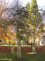 Cimetière et église / Cemetery & church - Ängelholm.  Suède / Sweden.  23 octobre 2008