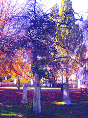 Cimetière et église / Cemetery & church - Ängelholm.  Suède / Sweden.  23 octobre 2008- Effet de nuit éclaircie