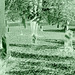 Cimetière et église / Cemetery & church - Ängelholm.  Suède / Sweden.  23 octobre 2008- Effet de négatif + colorisé en vert