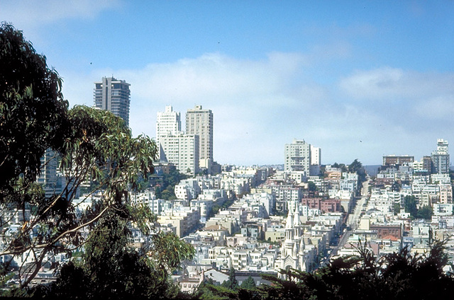 IMG0046 San Francisco Skyline