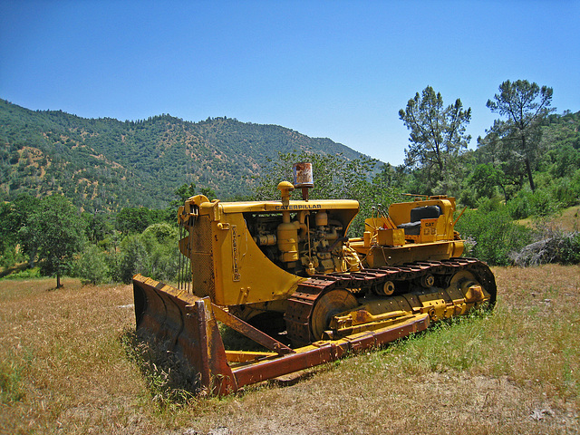 Caterpillar (2543)