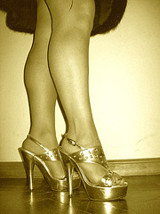 Lady Roxy -  Golden dizzy heels and hot legs /  Talons hauts dorés et jambes voluptueuses.  With / Avec permission
