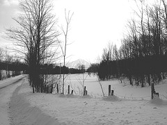 Paysages d'hiver / Winter landscape  - Abbaye de St-Benoit-du-lac  /  7 février 2009. - B & W