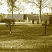 Laholms kirka ( Church & cemetery) - Église et cimetière /   Laholm -  Sweden / Suède.  25 octobre 2008 - Sepia