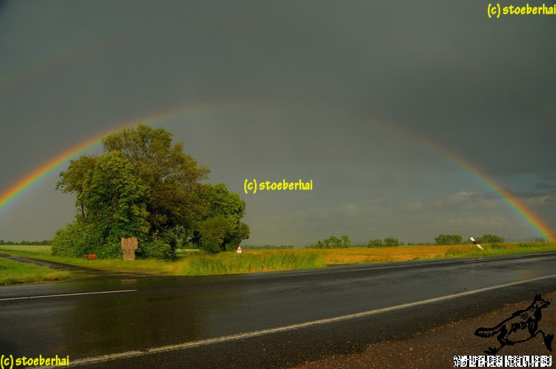 Regenbogen über dem Steigerwald