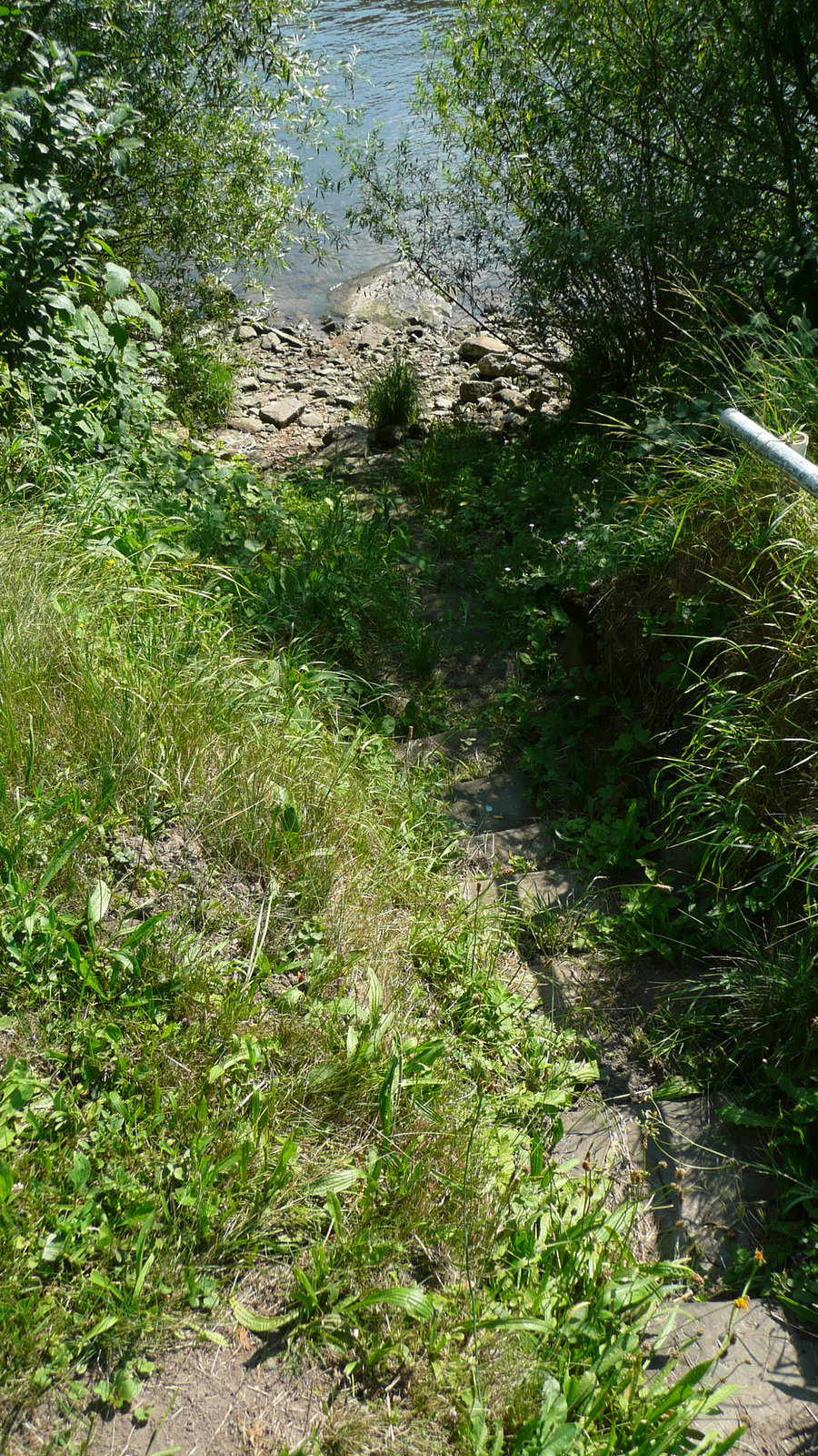 Niedrigwasser - Elbe 1. Juli 2008