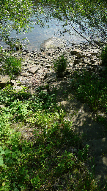 Niedrigwasser - Elbe 1. Juli 2008