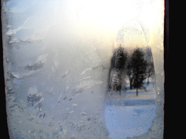 Fenêtre de ma chambre / Room's window - 7-02-2009