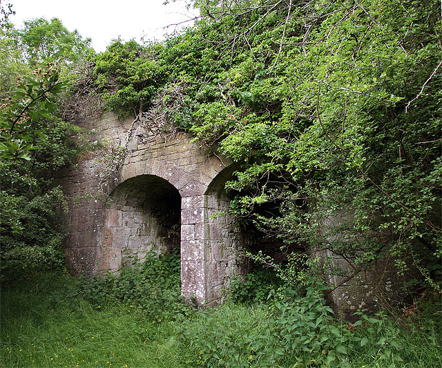 Blackwoodridge Limekiln