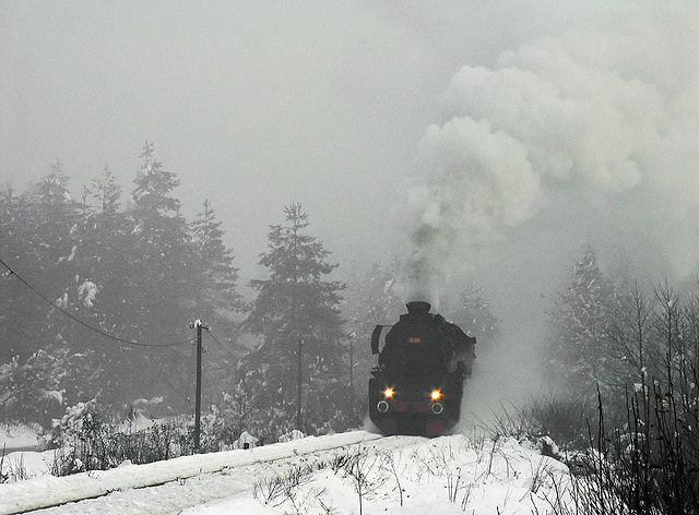 Kriegslok in winter