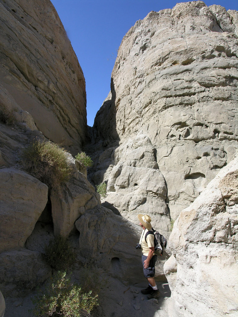 Desert Adventures Tour (8315)