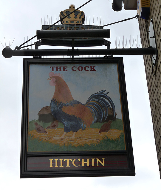 'The Cock' #1