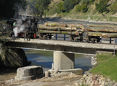 Logs on the bridge