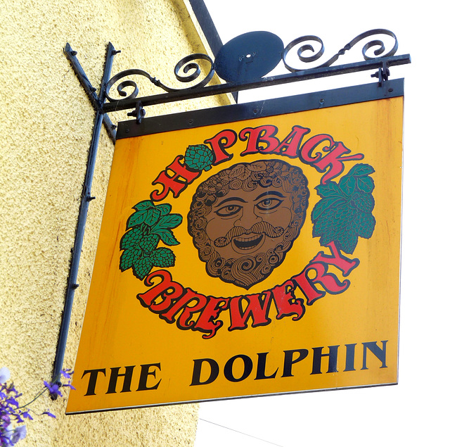 'The Dolphin'