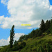 Landschaft westlich Treuchtlingen